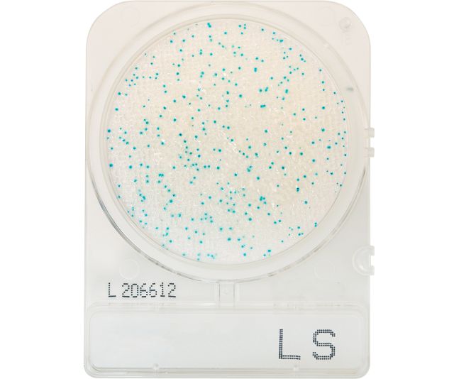 COMPACT DRY LISTERIA (4 UD. PAQ)